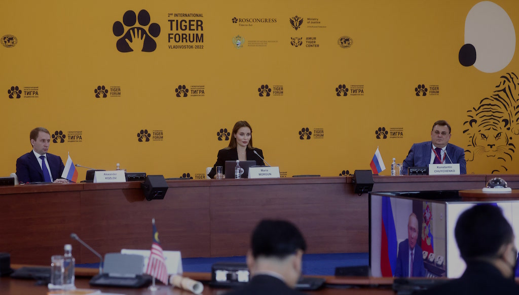 Итоги II «Тигриного» форума и планы на будущее