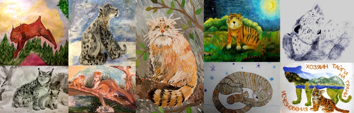 Объявлены победители конкурса детского рисунка «Дикие кошки России»
