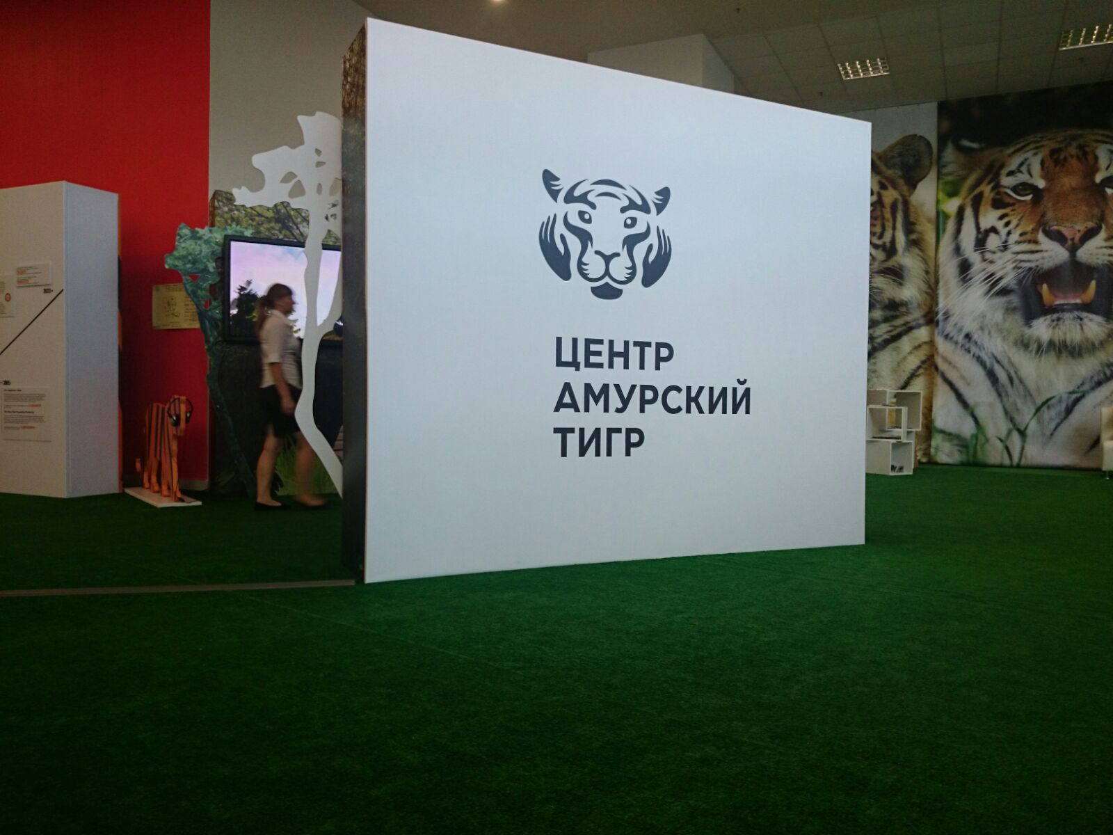 Amur Tiger Center takes part in the Eastern Economic Forum