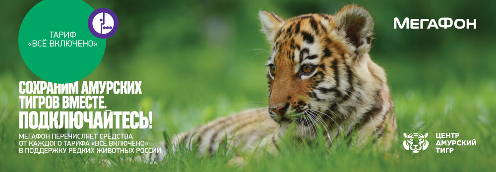 Мегафон поддержит амурских тигров и дальневосточных леопардов