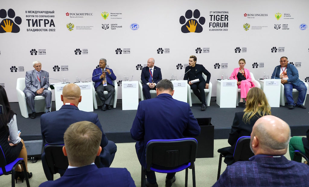 Сессия «Лучшие практики по сохранению тигра»