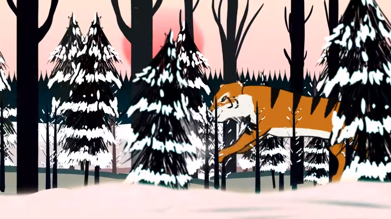 Premiere of cartoon about amur tiger. Vol.2