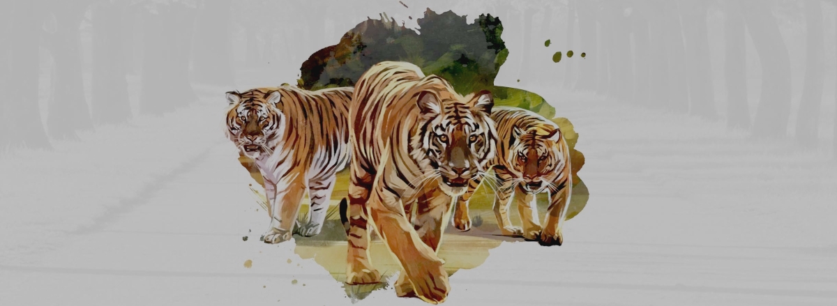Международный день тигра отметили в Москве