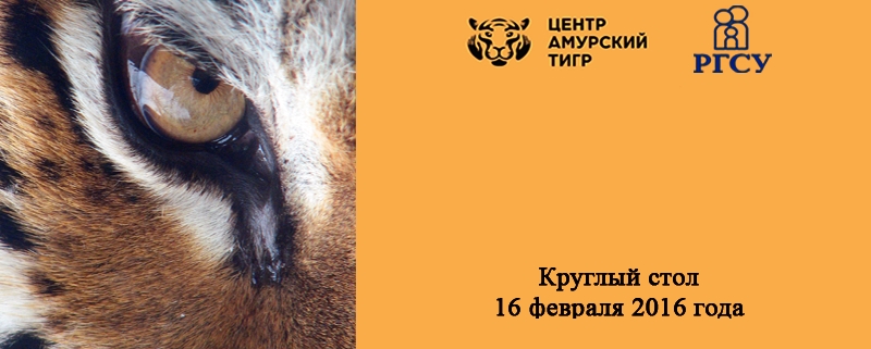 В Москве эксперты обсудили опыт расследования преступлений по добыче амурского тигра