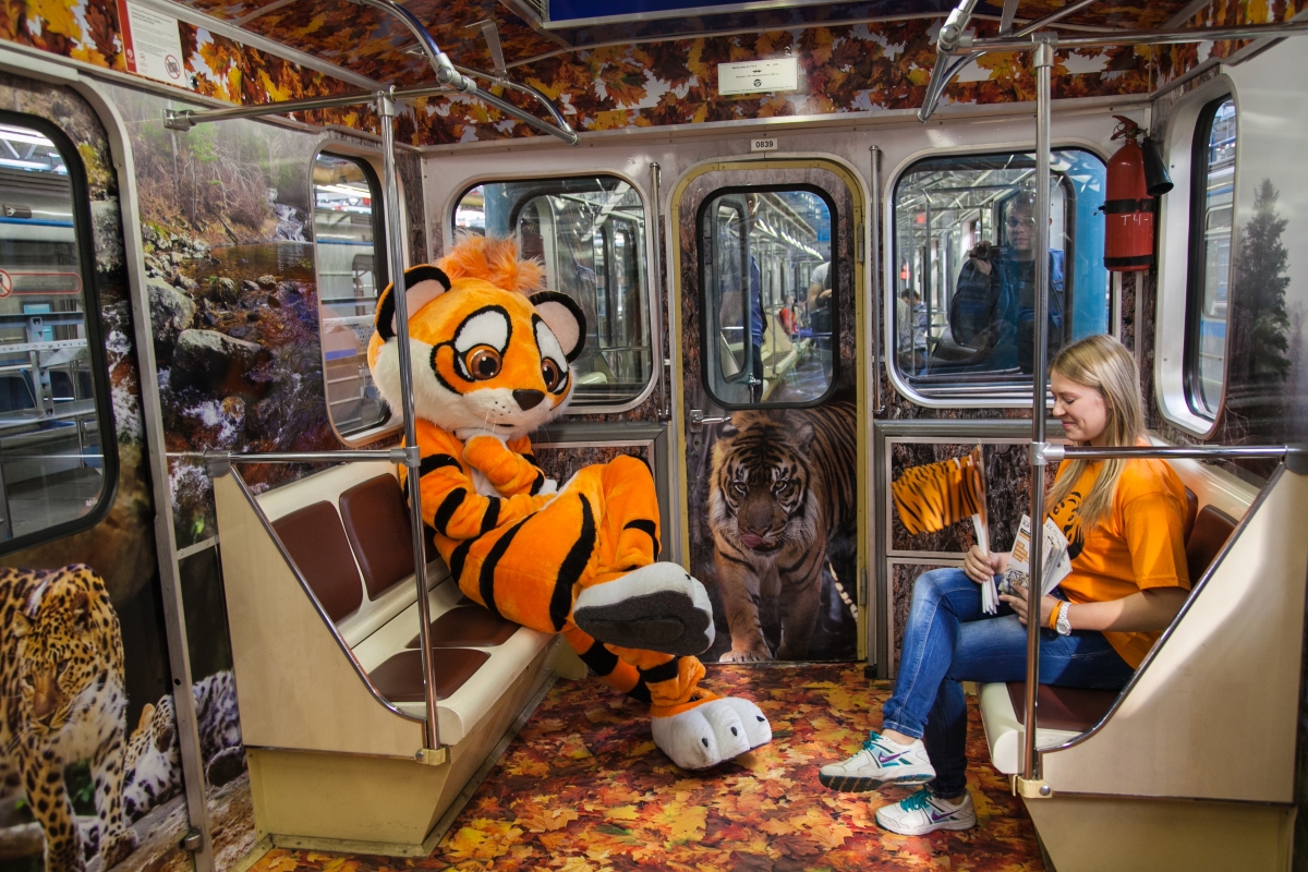 Tiger train in Moscow Metro