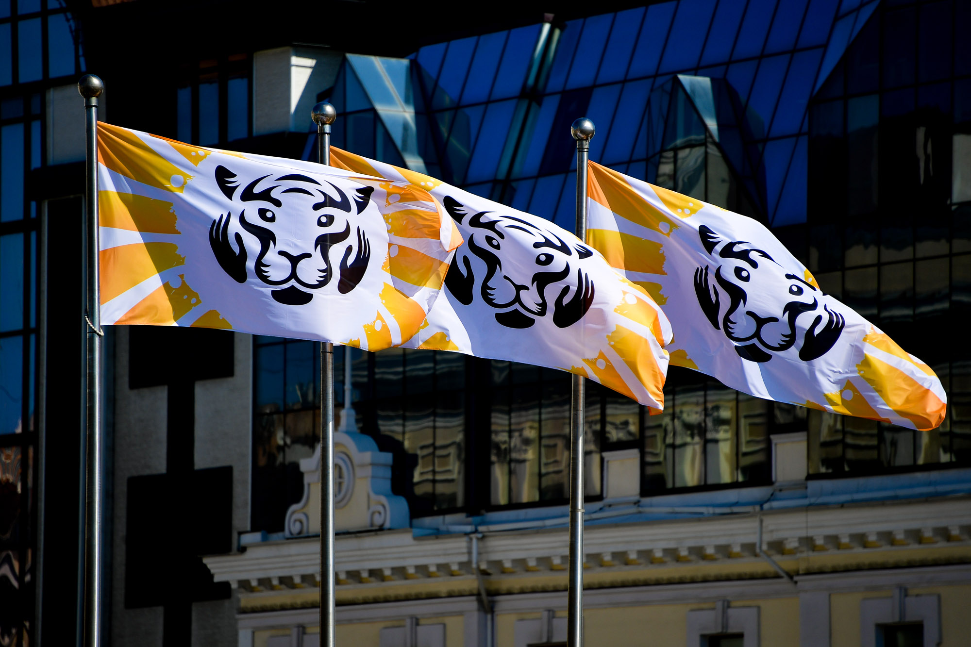 Ради амурского тигра: программа мероприятий во Владивостоке в самые «полосатые» выходные года