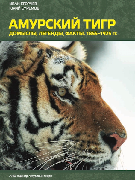 Amur tiger. Speculations, legends, facts. Volume 1