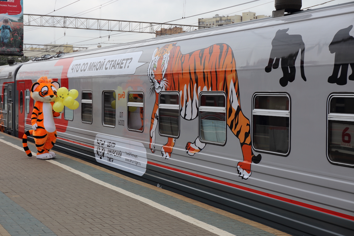 Из Москвы во Владивосток отправился фирменный поезд «Россия», украшенный изображениями дальневосточных кошек