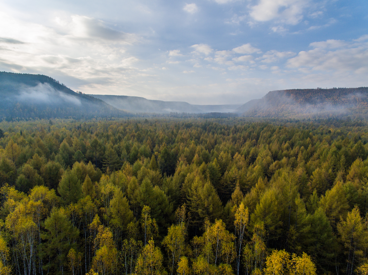 Национальный парк «Бикин» в Приморском крае