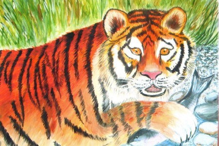 Подведены итоги конкурса детского рисунка «Мы любим амурского тигра»