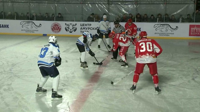 Хоккейный матч в поддержку редких кошек прошёл на ВДНХ